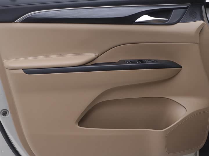 Фото 5 - Buick GL8 ES