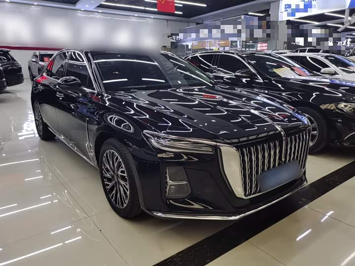 Фото 4 - Hongqi H5