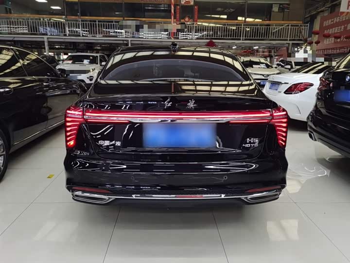 Фото 6 - Hongqi H5