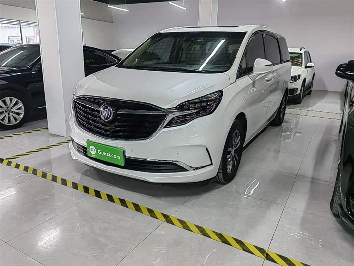 Фото 2 - Buick GL8 ES