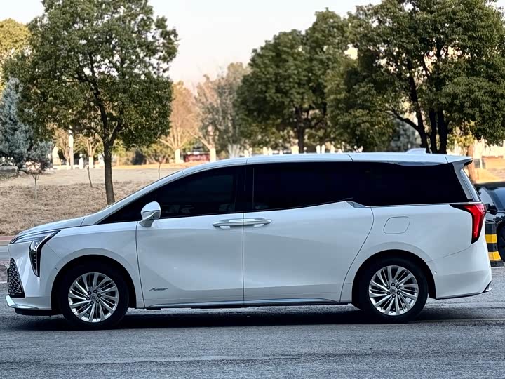 Фото 3 - Buick GL8 Century