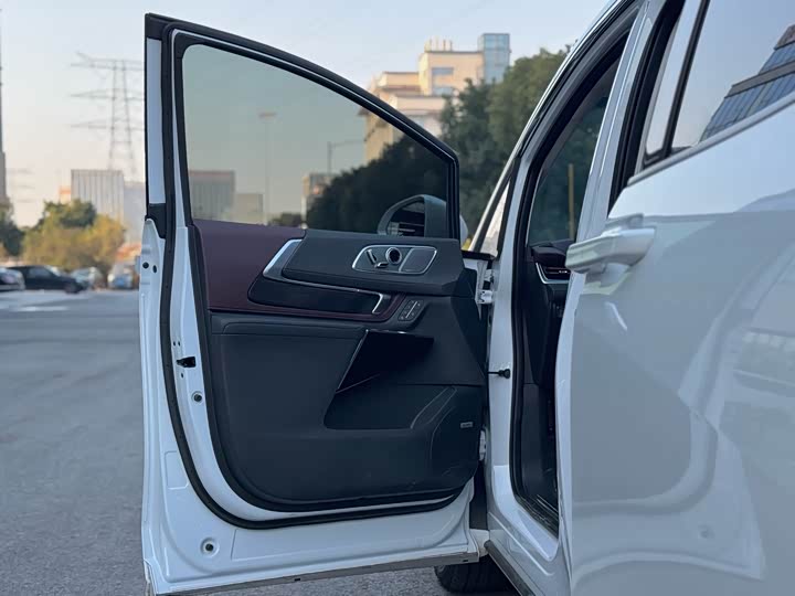 Фото 6 - Buick GL8 Century