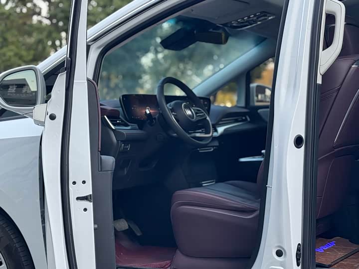 Фото 7 - Buick GL8 Century