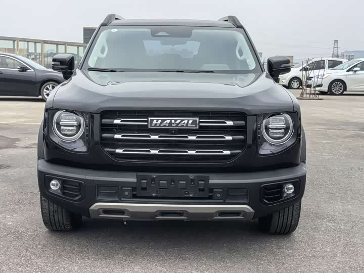 Фото 1 - Haval Dargo