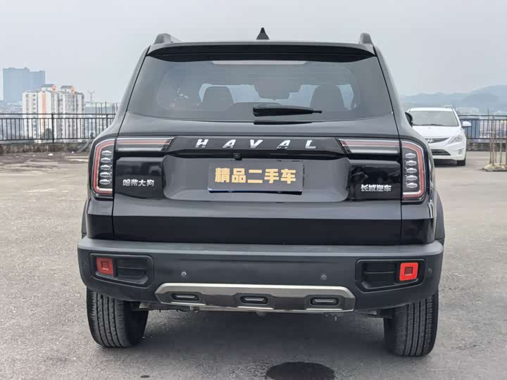 Фото 9 - Haval Dargo