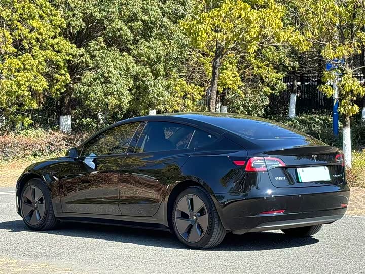 Фото 6 - Tesla Model 3