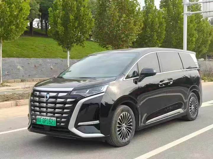 Фото 1 - Denza D9