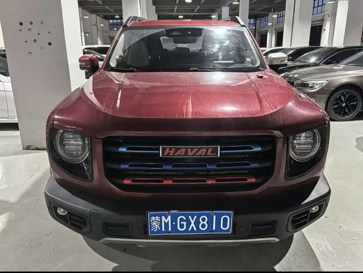 Фото 2 - Haval Dargo