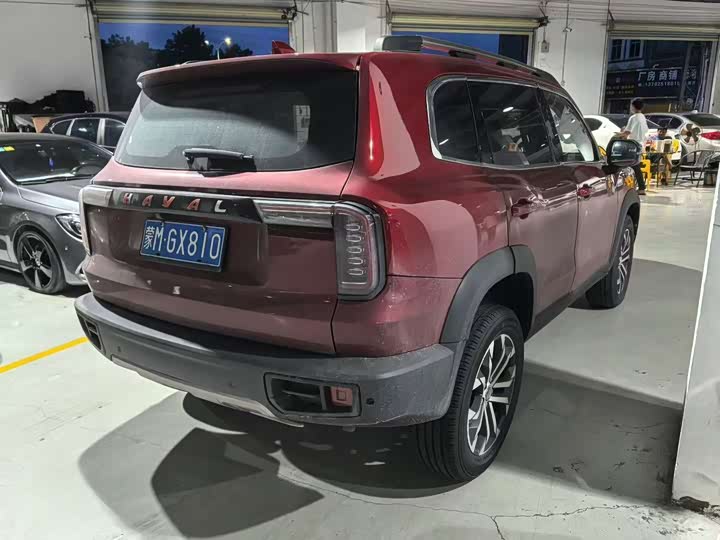 Фото 4 - Haval Dargo