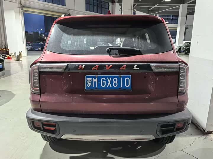 Фото 5 - Haval Dargo