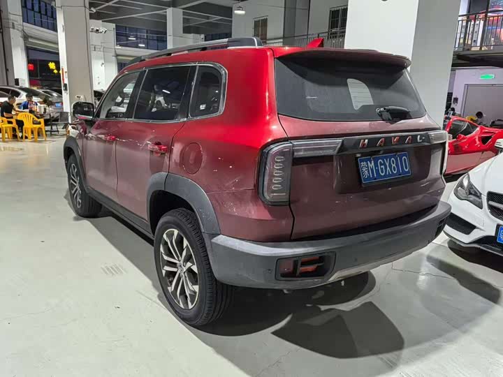 Фото 6 - Haval Dargo
