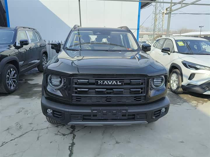 Фото 3 - Haval Dargo