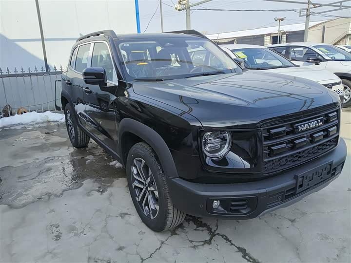 Фото 4 - Haval Dargo