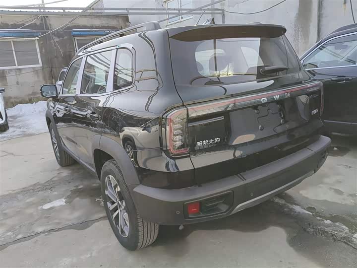 Фото 5 - Haval Dargo