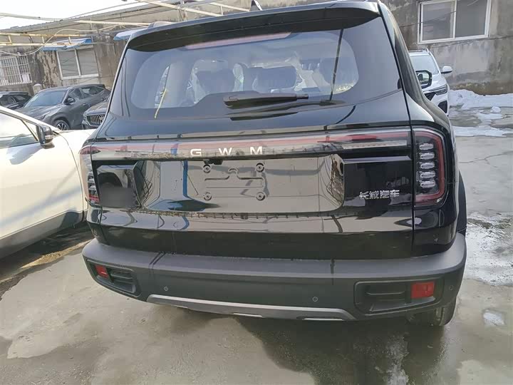 Фото 6 - Haval Dargo