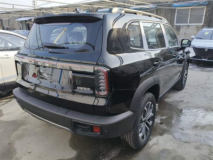 Фото 7 - Haval Dargo