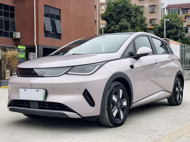 Фото 1 - BYD Dolphin