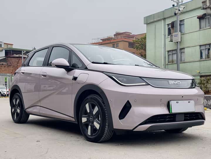 Фото 3 - BYD Dolphin