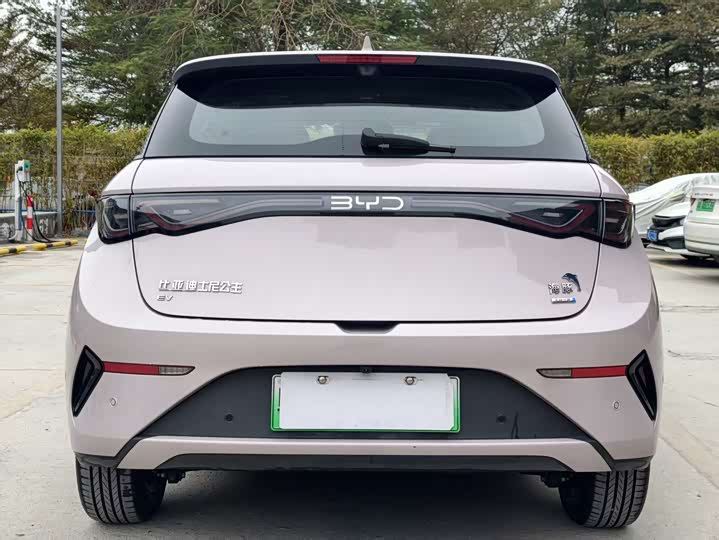 Фото 5 - BYD Dolphin