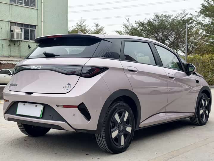 Фото 6 - BYD Dolphin