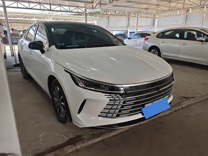 Фото 1 - BYD Destroyer 05