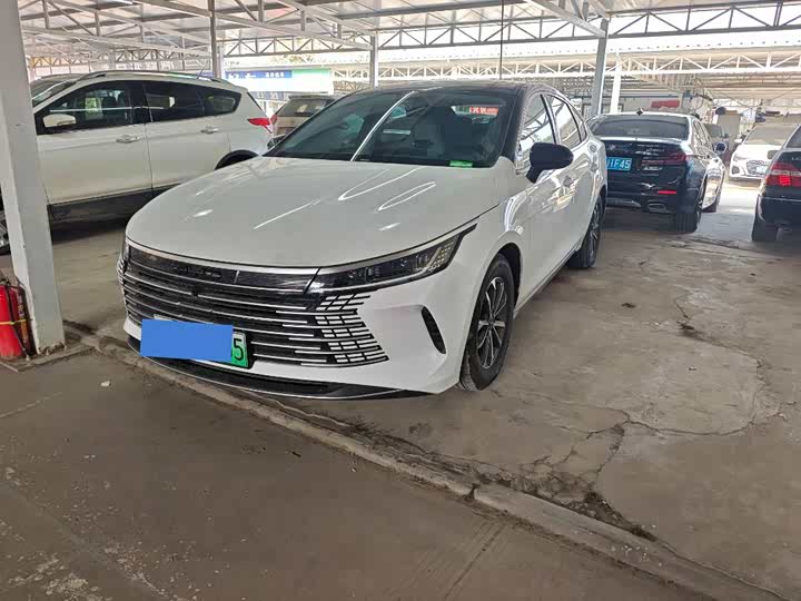 Фото 3 - BYD Destroyer 05