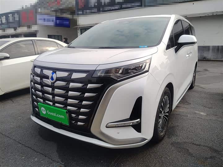 Фото 2 - Denza D9