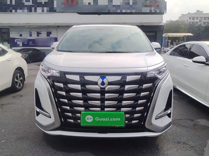 Фото 3 - Denza D9