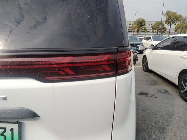 Фото 8 - Denza D9