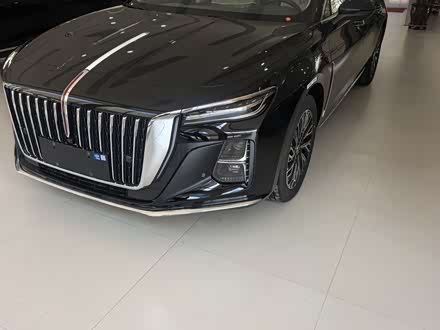 Фото 1 - Hongqi H5