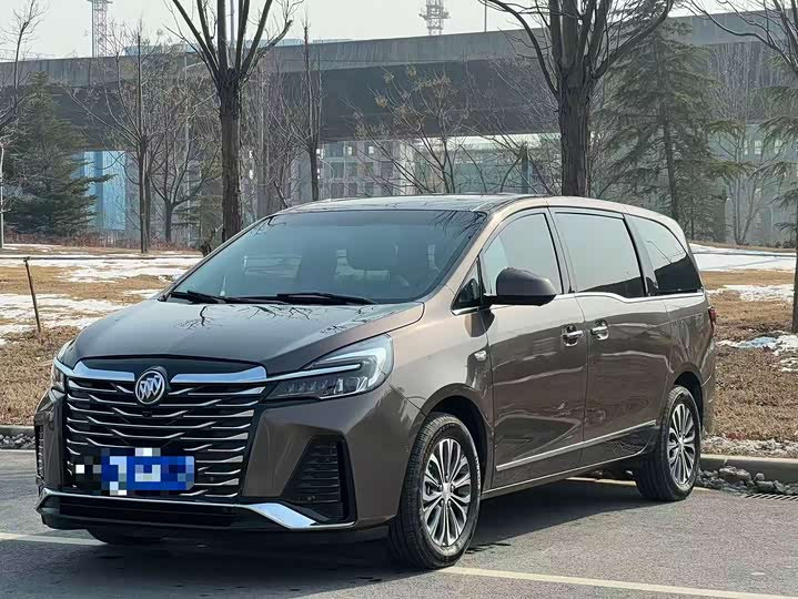 Фото 1 - Buick GL8 ES