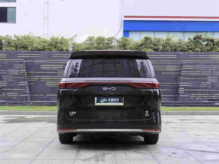 Фото 5 - BYD Xia