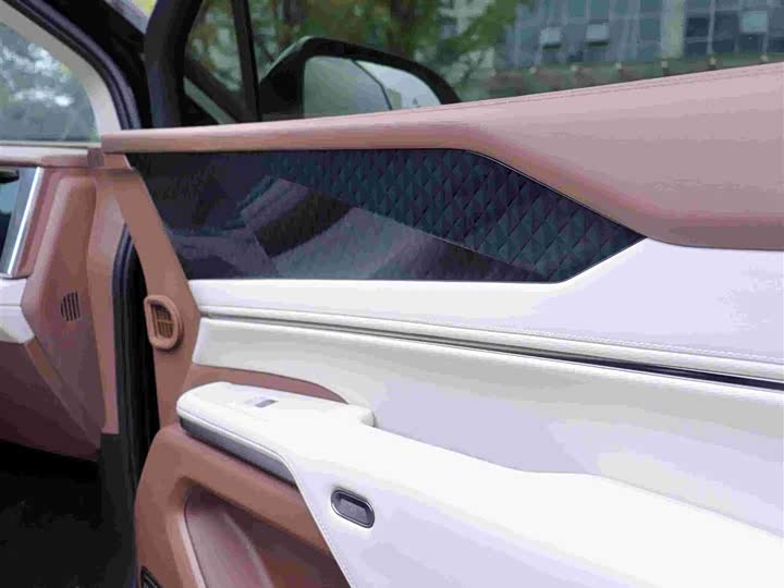 Фото 8 - BYD Xia