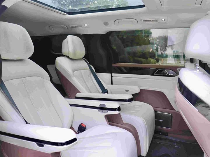 Фото 9 - BYD Xia