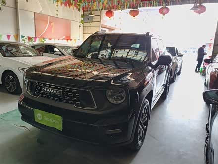 Фото 1 - Haval H-Dog