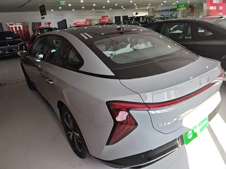 Фото 5 - Hongqi EH7