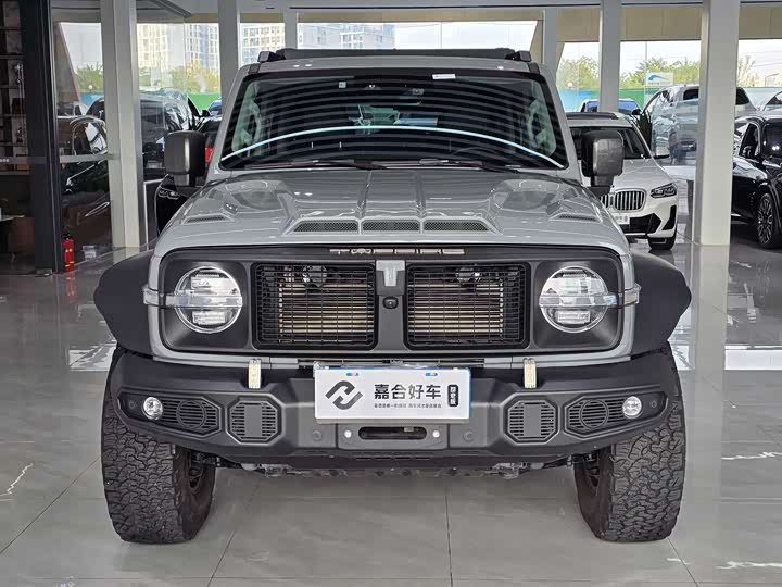 Фото 2 - Tank 300