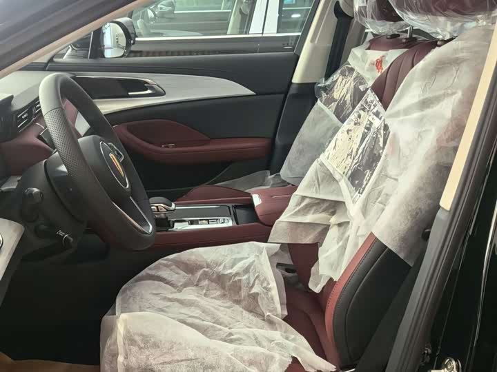 Фото 9 - Hongqi H5 Hybrid