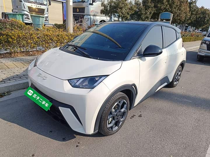 Фото 1 - BYD Seagull