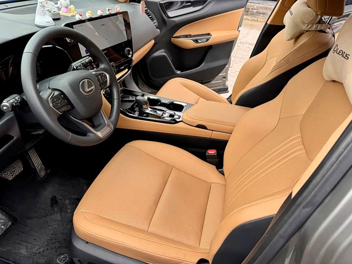 Фото 9 - Lexus NX