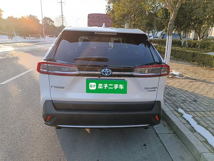 Фото 6 - Toyota Wildlander