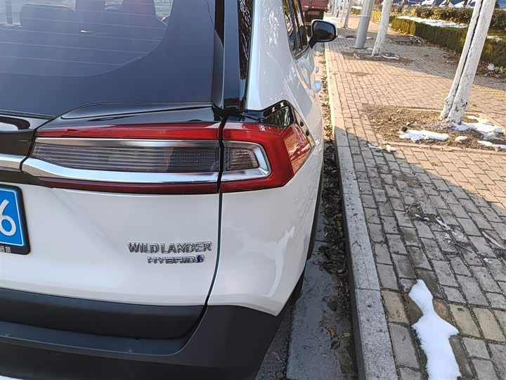 Фото 8 - Toyota Wildlander