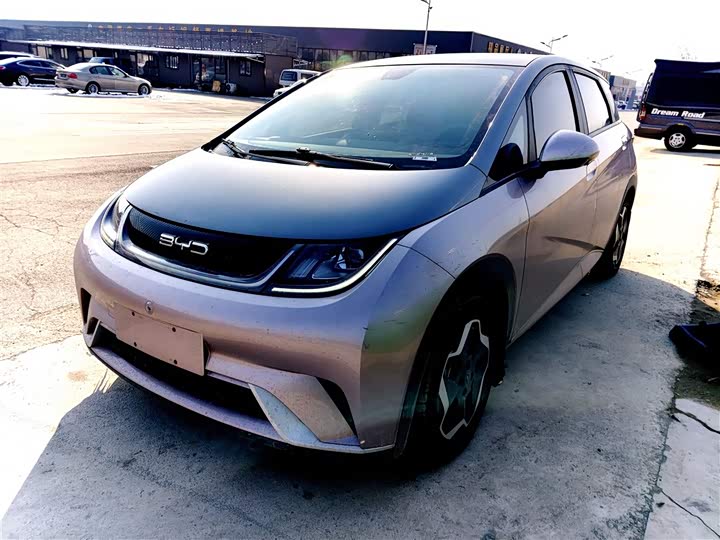 Фото 1 - BYD Dolphin