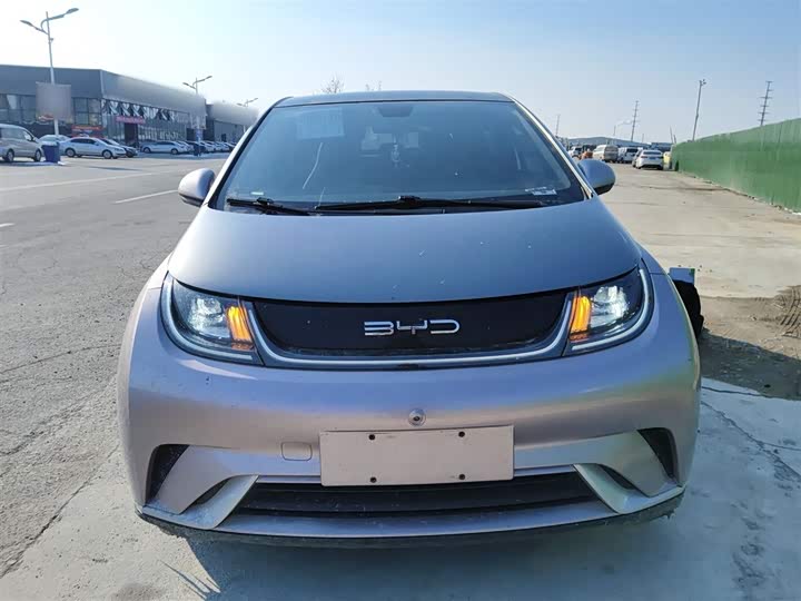 Фото 3 - BYD Dolphin