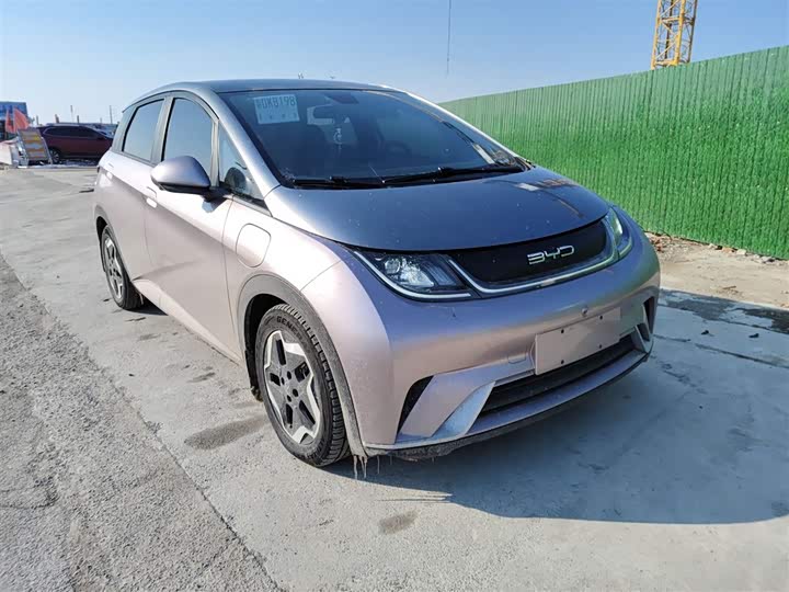 Фото 4 - BYD Dolphin