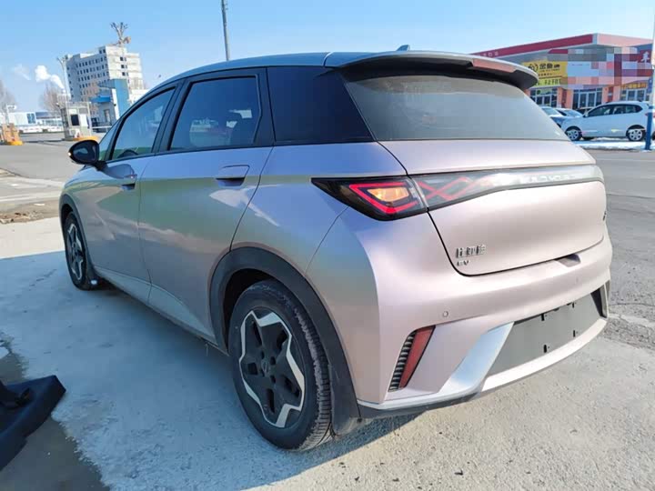 Фото 5 - BYD Dolphin