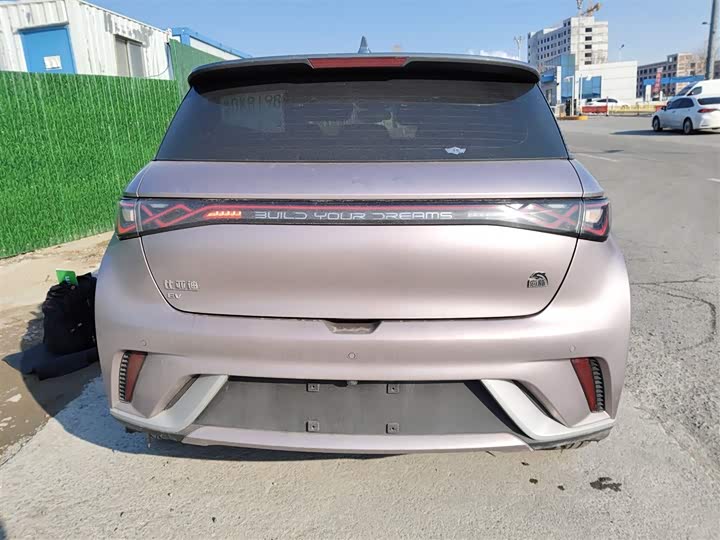 Фото 6 - BYD Dolphin