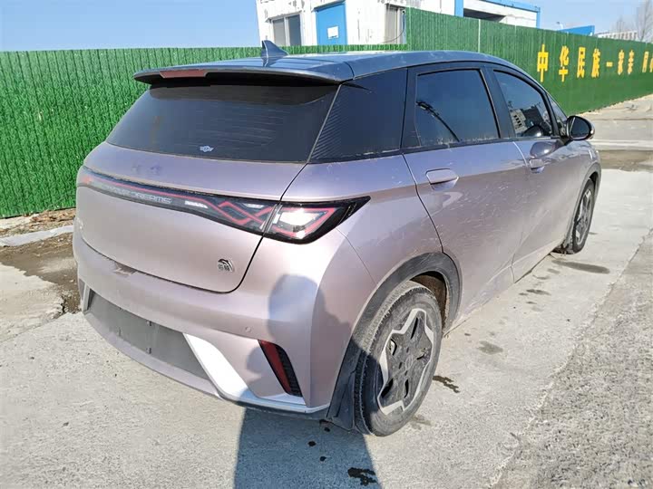 Фото 7 - BYD Dolphin