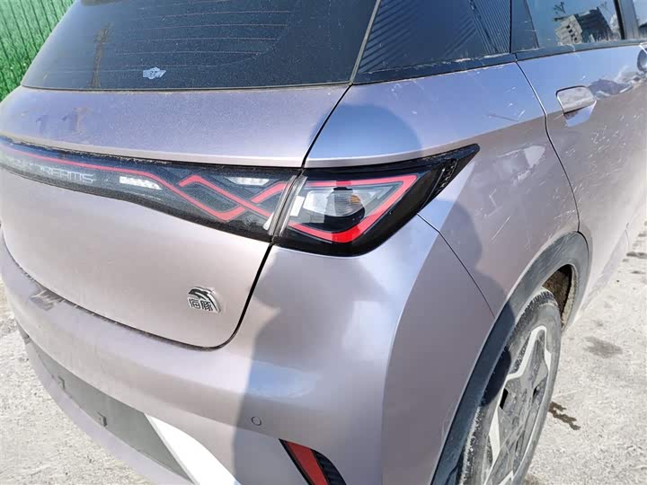 Фото 8 - BYD Dolphin