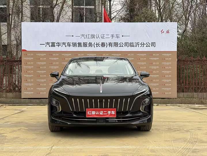 Фото 2 - Hongqi E-QM5
